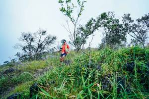 BIB: 
                            <button type="button" onclick="openModal(25096384)" class="btn btn-primary btn-sm float-right btn-popup" data-toggle="modal" data-target=".modal-high-quality">
                        <i class="fas fa-shopping-cart"></i> Add to Cart
                    </button>
                                            <button type="button" onclick="isThisMe(25096384, true)" class="btn btn-success btn-sm float-right btn-popup btn-isme hidden" data-toggle="tooltip" data-placement="bottom" title="นี่คือรูปของคุณใช่ไหม คลิกที่นี่เพื่อเอาเข้าอัลบั้ม">
                        <i class="fas fa-plus"></i> Add to album
                    </button>
                    <button type="button" onclick="isThisMe(25096384, false)" class="btn btn-warning btn-sm float-right btn-popup btn-isnotme hidden">
                        <i class="fas fa-ban"></i> Remove from album
                    </button>