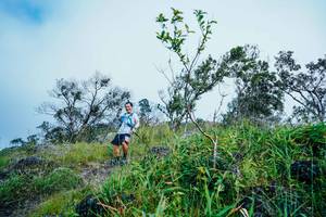 BIB: 
                            <button type="button" onclick="openModal(25096629)" class="btn btn-primary btn-sm float-right btn-popup" data-toggle="modal" data-target=".modal-high-quality">
                        <i class="fas fa-shopping-cart"></i> Add to Cart
                    </button>
                                            <button type="button" onclick="isThisMe(25096629, true)" class="btn btn-success btn-sm float-right btn-popup btn-isme hidden" data-toggle="tooltip" data-placement="bottom" title="นี่คือรูปของคุณใช่ไหม คลิกที่นี่เพื่อเอาเข้าอัลบั้ม">
                        <i class="fas fa-plus"></i> Add to album
                    </button>
                    <button type="button" onclick="isThisMe(25096629, false)" class="btn btn-warning btn-sm float-right btn-popup btn-isnotme hidden">
                        <i class="fas fa-ban"></i> Remove from album
                    </button>