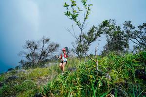 BIB: 
                            <button type="button" onclick="openModal(25095760)" class="btn btn-primary btn-sm float-right btn-popup" data-toggle="modal" data-target=".modal-high-quality">
                        <i class="fas fa-shopping-cart"></i> Add to Cart
                    </button>
                                            <button type="button" onclick="isThisMe(25095760, true)" class="btn btn-success btn-sm float-right btn-popup btn-isme hidden" data-toggle="tooltip" data-placement="bottom" title="นี่คือรูปของคุณใช่ไหม คลิกที่นี่เพื่อเอาเข้าอัลบั้ม">
                        <i class="fas fa-plus"></i> Add to album
                    </button>
                    <button type="button" onclick="isThisMe(25095760, false)" class="btn btn-warning btn-sm float-right btn-popup btn-isnotme hidden">
                        <i class="fas fa-ban"></i> Remove from album
                    </button>