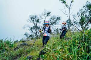 BIB: 
                            <button type="button" onclick="openModal(25094936)" class="btn btn-primary btn-sm float-right btn-popup" data-toggle="modal" data-target=".modal-high-quality">
                        <i class="fas fa-shopping-cart"></i> Add to Cart
                    </button>
                                            <button type="button" onclick="isThisMe(25094936, true)" class="btn btn-success btn-sm float-right btn-popup btn-isme hidden" data-toggle="tooltip" data-placement="bottom" title="นี่คือรูปของคุณใช่ไหม คลิกที่นี่เพื่อเอาเข้าอัลบั้ม">
                        <i class="fas fa-plus"></i> Add to album
                    </button>
                    <button type="button" onclick="isThisMe(25094936, false)" class="btn btn-warning btn-sm float-right btn-popup btn-isnotme hidden">
                        <i class="fas fa-ban"></i> Remove from album
                    </button>