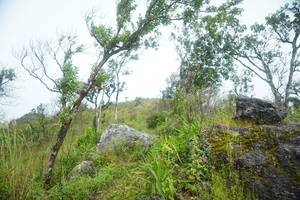 BIB: 
                            <button type="button" onclick="openModal(25094746)" class="btn btn-primary btn-sm float-right btn-popup" data-toggle="modal" data-target=".modal-high-quality">
                        <i class="fas fa-shopping-cart"></i> Add to Cart
                    </button>
                                            <button type="button" onclick="isThisMe(25094746, true)" class="btn btn-success btn-sm float-right btn-popup btn-isme hidden" data-toggle="tooltip" data-placement="bottom" title="นี่คือรูปของคุณใช่ไหม คลิกที่นี่เพื่อเอาเข้าอัลบั้ม">
                        <i class="fas fa-plus"></i> Add to album
                    </button>
                    <button type="button" onclick="isThisMe(25094746, false)" class="btn btn-warning btn-sm float-right btn-popup btn-isnotme hidden">
                        <i class="fas fa-ban"></i> Remove from album
                    </button>