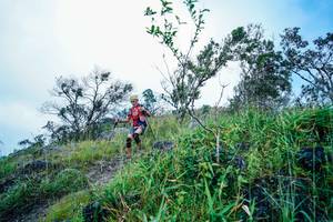 BIB: 
                            <button type="button" onclick="openModal(25098520)" class="btn btn-primary btn-sm float-right btn-popup" data-toggle="modal" data-target=".modal-high-quality">
                        <i class="fas fa-shopping-cart"></i> Add to Cart
                    </button>
                                            <button type="button" onclick="isThisMe(25098520, true)" class="btn btn-success btn-sm float-right btn-popup btn-isme hidden" data-toggle="tooltip" data-placement="bottom" title="นี่คือรูปของคุณใช่ไหม คลิกที่นี่เพื่อเอาเข้าอัลบั้ม">
                        <i class="fas fa-plus"></i> Add to album
                    </button>
                    <button type="button" onclick="isThisMe(25098520, false)" class="btn btn-warning btn-sm float-right btn-popup btn-isnotme hidden">
                        <i class="fas fa-ban"></i> Remove from album
                    </button>