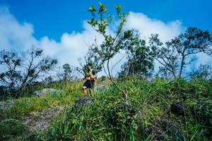 BIB: 
                            <button type="button" onclick="openModal(25097868)" class="btn btn-primary btn-sm float-right btn-popup" data-toggle="modal" data-target=".modal-high-quality">
                        <i class="fas fa-shopping-cart"></i> Add to Cart
                    </button>
                                            <button type="button" onclick="isThisMe(25097868, true)" class="btn btn-success btn-sm float-right btn-popup btn-isme hidden" data-toggle="tooltip" data-placement="bottom" title="นี่คือรูปของคุณใช่ไหม คลิกที่นี่เพื่อเอาเข้าอัลบั้ม">
                        <i class="fas fa-plus"></i> Add to album
                    </button>
                    <button type="button" onclick="isThisMe(25097868, false)" class="btn btn-warning btn-sm float-right btn-popup btn-isnotme hidden">
                        <i class="fas fa-ban"></i> Remove from album
                    </button>