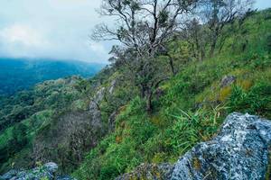 BIB: 
                            <button type="button" onclick="openModal(25098460)" class="btn btn-primary btn-sm float-right btn-popup" data-toggle="modal" data-target=".modal-high-quality">
                        <i class="fas fa-shopping-cart"></i> Add to Cart
                    </button>
                                            <button type="button" onclick="isThisMe(25098460, true)" class="btn btn-success btn-sm float-right btn-popup btn-isme hidden" data-toggle="tooltip" data-placement="bottom" title="นี่คือรูปของคุณใช่ไหม คลิกที่นี่เพื่อเอาเข้าอัลบั้ม">
                        <i class="fas fa-plus"></i> Add to album
                    </button>
                    <button type="button" onclick="isThisMe(25098460, false)" class="btn btn-warning btn-sm float-right btn-popup btn-isnotme hidden">
                        <i class="fas fa-ban"></i> Remove from album
                    </button>