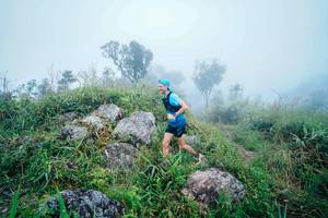 BIB: 
                            <button type="button" onclick="openModal(25086901)" class="btn btn-primary btn-sm float-right btn-popup" data-toggle="modal" data-target=".modal-high-quality">
                        <i class="fas fa-shopping-cart"></i> Add to Cart
                    </button>
                                            <button type="button" onclick="isThisMe(25086901, true)" class="btn btn-success btn-sm float-right btn-popup btn-isme hidden" data-toggle="tooltip" data-placement="bottom" title="นี่คือรูปของคุณใช่ไหม คลิกที่นี่เพื่อเอาเข้าอัลบั้ม">
                        <i class="fas fa-plus"></i> Add to album
                    </button>
                    <button type="button" onclick="isThisMe(25086901, false)" class="btn btn-warning btn-sm float-right btn-popup btn-isnotme hidden">
                        <i class="fas fa-ban"></i> Remove from album
                    </button>