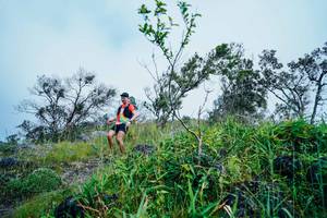 BIB: 
                            <button type="button" onclick="openModal(25096522)" class="btn btn-primary btn-sm float-right btn-popup" data-toggle="modal" data-target=".modal-high-quality">
                        <i class="fas fa-shopping-cart"></i> Add to Cart
                    </button>
                                            <button type="button" onclick="isThisMe(25096522, true)" class="btn btn-success btn-sm float-right btn-popup btn-isme hidden" data-toggle="tooltip" data-placement="bottom" title="นี่คือรูปของคุณใช่ไหม คลิกที่นี่เพื่อเอาเข้าอัลบั้ม">
                        <i class="fas fa-plus"></i> Add to album
                    </button>
                    <button type="button" onclick="isThisMe(25096522, false)" class="btn btn-warning btn-sm float-right btn-popup btn-isnotme hidden">
                        <i class="fas fa-ban"></i> Remove from album
                    </button>