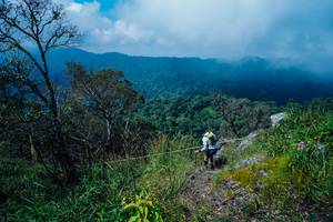 BIB: 
                            <button type="button" onclick="openModal(25098233)" class="btn btn-primary btn-sm float-right btn-popup" data-toggle="modal" data-target=".modal-high-quality">
                        <i class="fas fa-shopping-cart"></i> Add to Cart
                    </button>
                                            <button type="button" onclick="isThisMe(25098233, true)" class="btn btn-success btn-sm float-right btn-popup btn-isme hidden" data-toggle="tooltip" data-placement="bottom" title="นี่คือรูปของคุณใช่ไหม คลิกที่นี่เพื่อเอาเข้าอัลบั้ม">
                        <i class="fas fa-plus"></i> Add to album
                    </button>
                    <button type="button" onclick="isThisMe(25098233, false)" class="btn btn-warning btn-sm float-right btn-popup btn-isnotme hidden">
                        <i class="fas fa-ban"></i> Remove from album
                    </button>