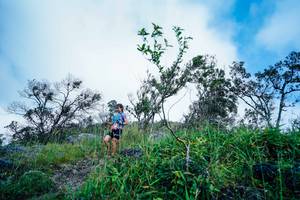 BIB: 
                            <button type="button" onclick="openModal(25097534)" class="btn btn-primary btn-sm float-right btn-popup" data-toggle="modal" data-target=".modal-high-quality">
                        <i class="fas fa-shopping-cart"></i> Add to Cart
                    </button>
                                            <button type="button" onclick="isThisMe(25097534, true)" class="btn btn-success btn-sm float-right btn-popup btn-isme hidden" data-toggle="tooltip" data-placement="bottom" title="นี่คือรูปของคุณใช่ไหม คลิกที่นี่เพื่อเอาเข้าอัลบั้ม">
                        <i class="fas fa-plus"></i> Add to album
                    </button>
                    <button type="button" onclick="isThisMe(25097534, false)" class="btn btn-warning btn-sm float-right btn-popup btn-isnotme hidden">
                        <i class="fas fa-ban"></i> Remove from album
                    </button>