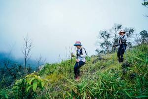 BIB: 
                            <button type="button" onclick="openModal(25094974)" class="btn btn-primary btn-sm float-right btn-popup" data-toggle="modal" data-target=".modal-high-quality">
                        <i class="fas fa-shopping-cart"></i> Add to Cart
                    </button>
                                            <button type="button" onclick="isThisMe(25094974, true)" class="btn btn-success btn-sm float-right btn-popup btn-isme hidden" data-toggle="tooltip" data-placement="bottom" title="นี่คือรูปของคุณใช่ไหม คลิกที่นี่เพื่อเอาเข้าอัลบั้ม">
                        <i class="fas fa-plus"></i> Add to album
                    </button>
                    <button type="button" onclick="isThisMe(25094974, false)" class="btn btn-warning btn-sm float-right btn-popup btn-isnotme hidden">
                        <i class="fas fa-ban"></i> Remove from album
                    </button>