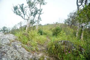 BIB: 
                            <button type="button" onclick="openModal(25094738)" class="btn btn-primary btn-sm float-right btn-popup" data-toggle="modal" data-target=".modal-high-quality">
                        <i class="fas fa-shopping-cart"></i> Add to Cart
                    </button>
                                            <button type="button" onclick="isThisMe(25094738, true)" class="btn btn-success btn-sm float-right btn-popup btn-isme hidden" data-toggle="tooltip" data-placement="bottom" title="นี่คือรูปของคุณใช่ไหม คลิกที่นี่เพื่อเอาเข้าอัลบั้ม">
                        <i class="fas fa-plus"></i> Add to album
                    </button>
                    <button type="button" onclick="isThisMe(25094738, false)" class="btn btn-warning btn-sm float-right btn-popup btn-isnotme hidden">
                        <i class="fas fa-ban"></i> Remove from album
                    </button>