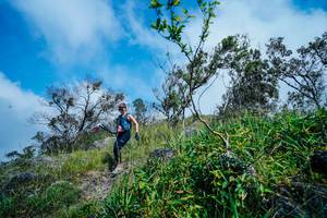 BIB: 
                            <button type="button" onclick="openModal(25097206)" class="btn btn-primary btn-sm float-right btn-popup" data-toggle="modal" data-target=".modal-high-quality">
                        <i class="fas fa-shopping-cart"></i> Add to Cart
                    </button>
                                            <button type="button" onclick="isThisMe(25097206, true)" class="btn btn-success btn-sm float-right btn-popup btn-isme hidden" data-toggle="tooltip" data-placement="bottom" title="นี่คือรูปของคุณใช่ไหม คลิกที่นี่เพื่อเอาเข้าอัลบั้ม">
                        <i class="fas fa-plus"></i> Add to album
                    </button>
                    <button type="button" onclick="isThisMe(25097206, false)" class="btn btn-warning btn-sm float-right btn-popup btn-isnotme hidden">
                        <i class="fas fa-ban"></i> Remove from album
                    </button>