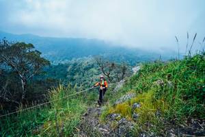 BIB: 
                            <button type="button" onclick="openModal(25096206)" class="btn btn-primary btn-sm float-right btn-popup" data-toggle="modal" data-target=".modal-high-quality">
                        <i class="fas fa-shopping-cart"></i> Add to Cart
                    </button>
                                            <button type="button" onclick="isThisMe(25096206, true)" class="btn btn-success btn-sm float-right btn-popup btn-isme hidden" data-toggle="tooltip" data-placement="bottom" title="นี่คือรูปของคุณใช่ไหม คลิกที่นี่เพื่อเอาเข้าอัลบั้ม">
                        <i class="fas fa-plus"></i> Add to album
                    </button>
                    <button type="button" onclick="isThisMe(25096206, false)" class="btn btn-warning btn-sm float-right btn-popup btn-isnotme hidden">
                        <i class="fas fa-ban"></i> Remove from album
                    </button>