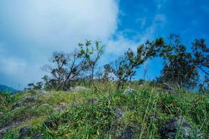 BIB: 
                            <button type="button" onclick="openModal(25098474)" class="btn btn-primary btn-sm float-right btn-popup" data-toggle="modal" data-target=".modal-high-quality">
                        <i class="fas fa-shopping-cart"></i> Add to Cart
                    </button>
                                            <button type="button" onclick="isThisMe(25098474, true)" class="btn btn-success btn-sm float-right btn-popup btn-isme hidden" data-toggle="tooltip" data-placement="bottom" title="นี่คือรูปของคุณใช่ไหม คลิกที่นี่เพื่อเอาเข้าอัลบั้ม">
                        <i class="fas fa-plus"></i> Add to album
                    </button>
                    <button type="button" onclick="isThisMe(25098474, false)" class="btn btn-warning btn-sm float-right btn-popup btn-isnotme hidden">
                        <i class="fas fa-ban"></i> Remove from album
                    </button>