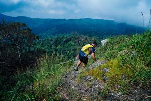 BIB: 
                            <button type="button" onclick="openModal(25097980)" class="btn btn-primary btn-sm float-right btn-popup" data-toggle="modal" data-target=".modal-high-quality">
                        <i class="fas fa-shopping-cart"></i> Add to Cart
                    </button>
                                            <button type="button" onclick="isThisMe(25097980, true)" class="btn btn-success btn-sm float-right btn-popup btn-isme hidden" data-toggle="tooltip" data-placement="bottom" title="นี่คือรูปของคุณใช่ไหม คลิกที่นี่เพื่อเอาเข้าอัลบั้ม">
                        <i class="fas fa-plus"></i> Add to album
                    </button>
                    <button type="button" onclick="isThisMe(25097980, false)" class="btn btn-warning btn-sm float-right btn-popup btn-isnotme hidden">
                        <i class="fas fa-ban"></i> Remove from album
                    </button>