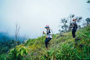 BIB: 
                            <button type="button" onclick="openModal(25094976)" class="btn btn-primary btn-sm float-right btn-popup" data-toggle="modal" data-target=".modal-high-quality">
                        <i class="fas fa-shopping-cart"></i> Add to Cart
                    </button>
                                            <button type="button" onclick="isThisMe(25094976, true)" class="btn btn-success btn-sm float-right btn-popup btn-isme hidden" data-toggle="tooltip" data-placement="bottom" title="นี่คือรูปของคุณใช่ไหม คลิกที่นี่เพื่อเอาเข้าอัลบั้ม">
                        <i class="fas fa-plus"></i> Add to album
                    </button>
                    <button type="button" onclick="isThisMe(25094976, false)" class="btn btn-warning btn-sm float-right btn-popup btn-isnotme hidden">
                        <i class="fas fa-ban"></i> Remove from album
                    </button>