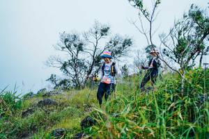 BIB: 
                            <button type="button" onclick="openModal(25094930)" class="btn btn-primary btn-sm float-right btn-popup" data-toggle="modal" data-target=".modal-high-quality">
                        <i class="fas fa-shopping-cart"></i> Add to Cart
                    </button>
                                            <button type="button" onclick="isThisMe(25094930, true)" class="btn btn-success btn-sm float-right btn-popup btn-isme hidden" data-toggle="tooltip" data-placement="bottom" title="นี่คือรูปของคุณใช่ไหม คลิกที่นี่เพื่อเอาเข้าอัลบั้ม">
                        <i class="fas fa-plus"></i> Add to album
                    </button>
                    <button type="button" onclick="isThisMe(25094930, false)" class="btn btn-warning btn-sm float-right btn-popup btn-isnotme hidden">
                        <i class="fas fa-ban"></i> Remove from album
                    </button>