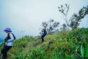 BIB: 
                            <button type="button" onclick="openModal(25094981)" class="btn btn-primary btn-sm float-right btn-popup" data-toggle="modal" data-target=".modal-high-quality">
                        <i class="fas fa-shopping-cart"></i> Add to Cart
                    </button>
                                            <button type="button" onclick="isThisMe(25094981, true)" class="btn btn-success btn-sm float-right btn-popup btn-isme hidden" data-toggle="tooltip" data-placement="bottom" title="นี่คือรูปของคุณใช่ไหม คลิกที่นี่เพื่อเอาเข้าอัลบั้ม">
                        <i class="fas fa-plus"></i> Add to album
                    </button>
                    <button type="button" onclick="isThisMe(25094981, false)" class="btn btn-warning btn-sm float-right btn-popup btn-isnotme hidden">
                        <i class="fas fa-ban"></i> Remove from album
                    </button>