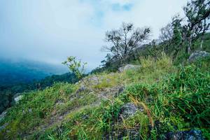 BIB: 
                            <button type="button" onclick="openModal(25096241)" class="btn btn-primary btn-sm float-right btn-popup" data-toggle="modal" data-target=".modal-high-quality">
                        <i class="fas fa-shopping-cart"></i> Add to Cart
                    </button>
                                            <button type="button" onclick="isThisMe(25096241, true)" class="btn btn-success btn-sm float-right btn-popup btn-isme hidden" data-toggle="tooltip" data-placement="bottom" title="นี่คือรูปของคุณใช่ไหม คลิกที่นี่เพื่อเอาเข้าอัลบั้ม">
                        <i class="fas fa-plus"></i> Add to album
                    </button>
                    <button type="button" onclick="isThisMe(25096241, false)" class="btn btn-warning btn-sm float-right btn-popup btn-isnotme hidden">
                        <i class="fas fa-ban"></i> Remove from album
                    </button>