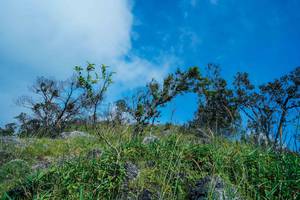 BIB: 
                            <button type="button" onclick="openModal(25098479)" class="btn btn-primary btn-sm float-right btn-popup" data-toggle="modal" data-target=".modal-high-quality">
                        <i class="fas fa-shopping-cart"></i> Add to Cart
                    </button>
                                            <button type="button" onclick="isThisMe(25098479, true)" class="btn btn-success btn-sm float-right btn-popup btn-isme hidden" data-toggle="tooltip" data-placement="bottom" title="นี่คือรูปของคุณใช่ไหม คลิกที่นี่เพื่อเอาเข้าอัลบั้ม">
                        <i class="fas fa-plus"></i> Add to album
                    </button>
                    <button type="button" onclick="isThisMe(25098479, false)" class="btn btn-warning btn-sm float-right btn-popup btn-isnotme hidden">
                        <i class="fas fa-ban"></i> Remove from album
                    </button>