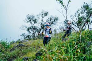 BIB: 
                            <button type="button" onclick="openModal(25094924)" class="btn btn-primary btn-sm float-right btn-popup" data-toggle="modal" data-target=".modal-high-quality">
                        <i class="fas fa-shopping-cart"></i> Add to Cart
                    </button>
                                            <button type="button" onclick="isThisMe(25094924, true)" class="btn btn-success btn-sm float-right btn-popup btn-isme hidden" data-toggle="tooltip" data-placement="bottom" title="นี่คือรูปของคุณใช่ไหม คลิกที่นี่เพื่อเอาเข้าอัลบั้ม">
                        <i class="fas fa-plus"></i> Add to album
                    </button>
                    <button type="button" onclick="isThisMe(25094924, false)" class="btn btn-warning btn-sm float-right btn-popup btn-isnotme hidden">
                        <i class="fas fa-ban"></i> Remove from album
                    </button>