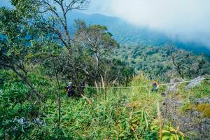 BIB: 
                            <button type="button" onclick="openModal(25094920)" class="btn btn-primary btn-sm float-right btn-popup" data-toggle="modal" data-target=".modal-high-quality">
                        <i class="fas fa-shopping-cart"></i> Add to Cart
                    </button>
                                            <button type="button" onclick="isThisMe(25094920, true)" class="btn btn-success btn-sm float-right btn-popup btn-isme hidden" data-toggle="tooltip" data-placement="bottom" title="นี่คือรูปของคุณใช่ไหม คลิกที่นี่เพื่อเอาเข้าอัลบั้ม">
                        <i class="fas fa-plus"></i> Add to album
                    </button>
                    <button type="button" onclick="isThisMe(25094920, false)" class="btn btn-warning btn-sm float-right btn-popup btn-isnotme hidden">
                        <i class="fas fa-ban"></i> Remove from album
                    </button>