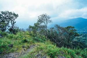 BIB: 
                            <button type="button" onclick="openModal(25098427)" class="btn btn-primary btn-sm float-right btn-popup" data-toggle="modal" data-target=".modal-high-quality">
                        <i class="fas fa-shopping-cart"></i> Add to Cart
                    </button>
                                            <button type="button" onclick="isThisMe(25098427, true)" class="btn btn-success btn-sm float-right btn-popup btn-isme hidden" data-toggle="tooltip" data-placement="bottom" title="นี่คือรูปของคุณใช่ไหม คลิกที่นี่เพื่อเอาเข้าอัลบั้ม">
                        <i class="fas fa-plus"></i> Add to album
                    </button>
                    <button type="button" onclick="isThisMe(25098427, false)" class="btn btn-warning btn-sm float-right btn-popup btn-isnotme hidden">
                        <i class="fas fa-ban"></i> Remove from album
                    </button>