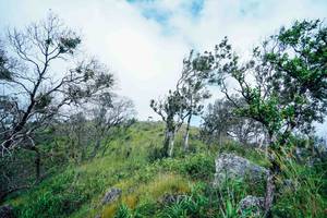 BIB: 
                            <button type="button" onclick="openModal(25098426)" class="btn btn-primary btn-sm float-right btn-popup" data-toggle="modal" data-target=".modal-high-quality">
                        <i class="fas fa-shopping-cart"></i> Add to Cart
                    </button>
                                            <button type="button" onclick="isThisMe(25098426, true)" class="btn btn-success btn-sm float-right btn-popup btn-isme hidden" data-toggle="tooltip" data-placement="bottom" title="นี่คือรูปของคุณใช่ไหม คลิกที่นี่เพื่อเอาเข้าอัลบั้ม">
                        <i class="fas fa-plus"></i> Add to album
                    </button>
                    <button type="button" onclick="isThisMe(25098426, false)" class="btn btn-warning btn-sm float-right btn-popup btn-isnotme hidden">
                        <i class="fas fa-ban"></i> Remove from album
                    </button>