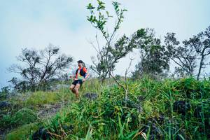 BIB: 
                            <button type="button" onclick="openModal(25096517)" class="btn btn-primary btn-sm float-right btn-popup" data-toggle="modal" data-target=".modal-high-quality">
                        <i class="fas fa-shopping-cart"></i> Add to Cart
                    </button>
                                            <button type="button" onclick="isThisMe(25096517, true)" class="btn btn-success btn-sm float-right btn-popup btn-isme hidden" data-toggle="tooltip" data-placement="bottom" title="นี่คือรูปของคุณใช่ไหม คลิกที่นี่เพื่อเอาเข้าอัลบั้ม">
                        <i class="fas fa-plus"></i> Add to album
                    </button>
                    <button type="button" onclick="isThisMe(25096517, false)" class="btn btn-warning btn-sm float-right btn-popup btn-isnotme hidden">
                        <i class="fas fa-ban"></i> Remove from album
                    </button>