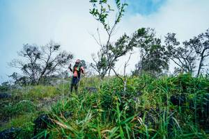 BIB: 
                            <button type="button" onclick="openModal(25096118)" class="btn btn-primary btn-sm float-right btn-popup" data-toggle="modal" data-target=".modal-high-quality">
                        <i class="fas fa-shopping-cart"></i> Add to Cart
                    </button>
                                            <button type="button" onclick="isThisMe(25096118, true)" class="btn btn-success btn-sm float-right btn-popup btn-isme hidden" data-toggle="tooltip" data-placement="bottom" title="นี่คือรูปของคุณใช่ไหม คลิกที่นี่เพื่อเอาเข้าอัลบั้ม">
                        <i class="fas fa-plus"></i> Add to album
                    </button>
                    <button type="button" onclick="isThisMe(25096118, false)" class="btn btn-warning btn-sm float-right btn-popup btn-isnotme hidden">
                        <i class="fas fa-ban"></i> Remove from album
                    </button>