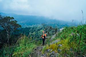 BIB: 
                            <button type="button" onclick="openModal(25096222)" class="btn btn-primary btn-sm float-right btn-popup" data-toggle="modal" data-target=".modal-high-quality">
                        <i class="fas fa-shopping-cart"></i> Add to Cart
                    </button>
                                            <button type="button" onclick="isThisMe(25096222, true)" class="btn btn-success btn-sm float-right btn-popup btn-isme hidden" data-toggle="tooltip" data-placement="bottom" title="นี่คือรูปของคุณใช่ไหม คลิกที่นี่เพื่อเอาเข้าอัลบั้ม">
                        <i class="fas fa-plus"></i> Add to album
                    </button>
                    <button type="button" onclick="isThisMe(25096222, false)" class="btn btn-warning btn-sm float-right btn-popup btn-isnotme hidden">
                        <i class="fas fa-ban"></i> Remove from album
                    </button>