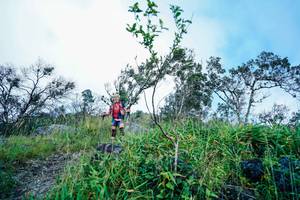 BIB: 
                            <button type="button" onclick="openModal(25098510)" class="btn btn-primary btn-sm float-right btn-popup" data-toggle="modal" data-target=".modal-high-quality">
                        <i class="fas fa-shopping-cart"></i> Add to Cart
                    </button>
                                            <button type="button" onclick="isThisMe(25098510, true)" class="btn btn-success btn-sm float-right btn-popup btn-isme hidden" data-toggle="tooltip" data-placement="bottom" title="นี่คือรูปของคุณใช่ไหม คลิกที่นี่เพื่อเอาเข้าอัลบั้ม">
                        <i class="fas fa-plus"></i> Add to album
                    </button>
                    <button type="button" onclick="isThisMe(25098510, false)" class="btn btn-warning btn-sm float-right btn-popup btn-isnotme hidden">
                        <i class="fas fa-ban"></i> Remove from album
                    </button>