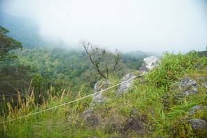 BIB: 
                            <button type="button" onclick="openModal(25094745)" class="btn btn-primary btn-sm float-right btn-popup" data-toggle="modal" data-target=".modal-high-quality">
                        <i class="fas fa-shopping-cart"></i> Add to Cart
                    </button>
                                            <button type="button" onclick="isThisMe(25094745, true)" class="btn btn-success btn-sm float-right btn-popup btn-isme hidden" data-toggle="tooltip" data-placement="bottom" title="นี่คือรูปของคุณใช่ไหม คลิกที่นี่เพื่อเอาเข้าอัลบั้ม">
                        <i class="fas fa-plus"></i> Add to album
                    </button>
                    <button type="button" onclick="isThisMe(25094745, false)" class="btn btn-warning btn-sm float-right btn-popup btn-isnotme hidden">
                        <i class="fas fa-ban"></i> Remove from album
                    </button>