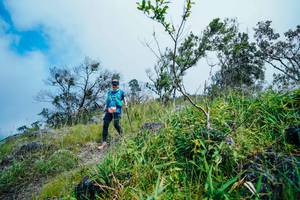 BIB: 
                            <button type="button" onclick="openModal(25096993)" class="btn btn-primary btn-sm float-right btn-popup" data-toggle="modal" data-target=".modal-high-quality">
                        <i class="fas fa-shopping-cart"></i> Add to Cart
                    </button>
                                            <button type="button" onclick="isThisMe(25096993, true)" class="btn btn-success btn-sm float-right btn-popup btn-isme hidden" data-toggle="tooltip" data-placement="bottom" title="นี่คือรูปของคุณใช่ไหม คลิกที่นี่เพื่อเอาเข้าอัลบั้ม">
                        <i class="fas fa-plus"></i> Add to album
                    </button>
                    <button type="button" onclick="isThisMe(25096993, false)" class="btn btn-warning btn-sm float-right btn-popup btn-isnotme hidden">
                        <i class="fas fa-ban"></i> Remove from album
                    </button>