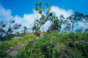 BIB: 
                            <button type="button" onclick="openModal(25097853)" class="btn btn-primary btn-sm float-right btn-popup" data-toggle="modal" data-target=".modal-high-quality">
                        <i class="fas fa-shopping-cart"></i> Add to Cart
                    </button>
                                            <button type="button" onclick="isThisMe(25097853, true)" class="btn btn-success btn-sm float-right btn-popup btn-isme hidden" data-toggle="tooltip" data-placement="bottom" title="นี่คือรูปของคุณใช่ไหม คลิกที่นี่เพื่อเอาเข้าอัลบั้ม">
                        <i class="fas fa-plus"></i> Add to album
                    </button>
                    <button type="button" onclick="isThisMe(25097853, false)" class="btn btn-warning btn-sm float-right btn-popup btn-isnotme hidden">
                        <i class="fas fa-ban"></i> Remove from album
                    </button>