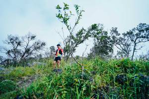 BIB: 
                            <button type="button" onclick="openModal(25096509)" class="btn btn-primary btn-sm float-right btn-popup" data-toggle="modal" data-target=".modal-high-quality">
                        <i class="fas fa-shopping-cart"></i> Add to Cart
                    </button>
                                            <button type="button" onclick="isThisMe(25096509, true)" class="btn btn-success btn-sm float-right btn-popup btn-isme hidden" data-toggle="tooltip" data-placement="bottom" title="นี่คือรูปของคุณใช่ไหม คลิกที่นี่เพื่อเอาเข้าอัลบั้ม">
                        <i class="fas fa-plus"></i> Add to album
                    </button>
                    <button type="button" onclick="isThisMe(25096509, false)" class="btn btn-warning btn-sm float-right btn-popup btn-isnotme hidden">
                        <i class="fas fa-ban"></i> Remove from album
                    </button>