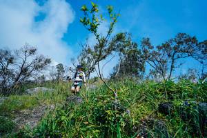 BIB: 
                            <button type="button" onclick="openModal(25098021)" class="btn btn-primary btn-sm float-right btn-popup" data-toggle="modal" data-target=".modal-high-quality">
                        <i class="fas fa-shopping-cart"></i> Add to Cart
                    </button>
                                            <button type="button" onclick="isThisMe(25098021, true)" class="btn btn-success btn-sm float-right btn-popup btn-isme hidden" data-toggle="tooltip" data-placement="bottom" title="นี่คือรูปของคุณใช่ไหม คลิกที่นี่เพื่อเอาเข้าอัลบั้ม">
                        <i class="fas fa-plus"></i> Add to album
                    </button>
                    <button type="button" onclick="isThisMe(25098021, false)" class="btn btn-warning btn-sm float-right btn-popup btn-isnotme hidden">
                        <i class="fas fa-ban"></i> Remove from album
                    </button>