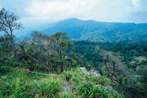 BIB: 
                            <button type="button" onclick="openModal(25098405)" class="btn btn-primary btn-sm float-right btn-popup" data-toggle="modal" data-target=".modal-high-quality">
                        <i class="fas fa-shopping-cart"></i> Add to Cart
                    </button>
                                            <button type="button" onclick="isThisMe(25098405, true)" class="btn btn-success btn-sm float-right btn-popup btn-isme hidden" data-toggle="tooltip" data-placement="bottom" title="นี่คือรูปของคุณใช่ไหม คลิกที่นี่เพื่อเอาเข้าอัลบั้ม">
                        <i class="fas fa-plus"></i> Add to album
                    </button>
                    <button type="button" onclick="isThisMe(25098405, false)" class="btn btn-warning btn-sm float-right btn-popup btn-isnotme hidden">
                        <i class="fas fa-ban"></i> Remove from album
                    </button>