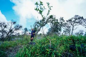 BIB: 
                            <button type="button" onclick="openModal(25098241)" class="btn btn-primary btn-sm float-right btn-popup" data-toggle="modal" data-target=".modal-high-quality">
                        <i class="fas fa-shopping-cart"></i> Add to Cart
                    </button>
                                            <button type="button" onclick="isThisMe(25098241, true)" class="btn btn-success btn-sm float-right btn-popup btn-isme hidden" data-toggle="tooltip" data-placement="bottom" title="นี่คือรูปของคุณใช่ไหม คลิกที่นี่เพื่อเอาเข้าอัลบั้ม">
                        <i class="fas fa-plus"></i> Add to album
                    </button>
                    <button type="button" onclick="isThisMe(25098241, false)" class="btn btn-warning btn-sm float-right btn-popup btn-isnotme hidden">
                        <i class="fas fa-ban"></i> Remove from album
                    </button>