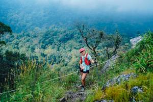 BIB: 
                            <button type="button" onclick="openModal(25095882)" class="btn btn-primary btn-sm float-right btn-popup" data-toggle="modal" data-target=".modal-high-quality">
                        <i class="fas fa-shopping-cart"></i> Add to Cart
                    </button>
                                            <button type="button" onclick="isThisMe(25095882, true)" class="btn btn-success btn-sm float-right btn-popup btn-isme hidden" data-toggle="tooltip" data-placement="bottom" title="นี่คือรูปของคุณใช่ไหม คลิกที่นี่เพื่อเอาเข้าอัลบั้ม">
                        <i class="fas fa-plus"></i> Add to album
                    </button>
                    <button type="button" onclick="isThisMe(25095882, false)" class="btn btn-warning btn-sm float-right btn-popup btn-isnotme hidden">
                        <i class="fas fa-ban"></i> Remove from album
                    </button>