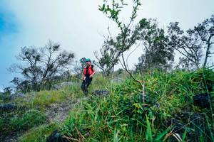 BIB: 
                            <button type="button" onclick="openModal(25097075)" class="btn btn-primary btn-sm float-right btn-popup" data-toggle="modal" data-target=".modal-high-quality">
                        <i class="fas fa-shopping-cart"></i> Add to Cart
                    </button>
                                            <button type="button" onclick="isThisMe(25097075, true)" class="btn btn-success btn-sm float-right btn-popup btn-isme hidden" data-toggle="tooltip" data-placement="bottom" title="นี่คือรูปของคุณใช่ไหม คลิกที่นี่เพื่อเอาเข้าอัลบั้ม">
                        <i class="fas fa-plus"></i> Add to album
                    </button>
                    <button type="button" onclick="isThisMe(25097075, false)" class="btn btn-warning btn-sm float-right btn-popup btn-isnotme hidden">
                        <i class="fas fa-ban"></i> Remove from album
                    </button>