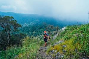 BIB: 
                            <button type="button" onclick="openModal(25095959)" class="btn btn-primary btn-sm float-right btn-popup" data-toggle="modal" data-target=".modal-high-quality">
                        <i class="fas fa-shopping-cart"></i> Add to Cart
                    </button>
                                            <button type="button" onclick="isThisMe(25095959, true)" class="btn btn-success btn-sm float-right btn-popup btn-isme hidden" data-toggle="tooltip" data-placement="bottom" title="นี่คือรูปของคุณใช่ไหม คลิกที่นี่เพื่อเอาเข้าอัลบั้ม">
                        <i class="fas fa-plus"></i> Add to album
                    </button>
                    <button type="button" onclick="isThisMe(25095959, false)" class="btn btn-warning btn-sm float-right btn-popup btn-isnotme hidden">
                        <i class="fas fa-ban"></i> Remove from album
                    </button>