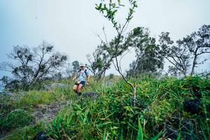 BIB: 
                            <button type="button" onclick="openModal(25096870)" class="btn btn-primary btn-sm float-right btn-popup" data-toggle="modal" data-target=".modal-high-quality">
                        <i class="fas fa-shopping-cart"></i> Add to Cart
                    </button>
                                            <button type="button" onclick="isThisMe(25096870, true)" class="btn btn-success btn-sm float-right btn-popup btn-isme hidden" data-toggle="tooltip" data-placement="bottom" title="นี่คือรูปของคุณใช่ไหม คลิกที่นี่เพื่อเอาเข้าอัลบั้ม">
                        <i class="fas fa-plus"></i> Add to album
                    </button>
                    <button type="button" onclick="isThisMe(25096870, false)" class="btn btn-warning btn-sm float-right btn-popup btn-isnotme hidden">
                        <i class="fas fa-ban"></i> Remove from album
                    </button>