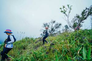 BIB: 
                            <button type="button" onclick="openModal(25094979)" class="btn btn-primary btn-sm float-right btn-popup" data-toggle="modal" data-target=".modal-high-quality">
                        <i class="fas fa-shopping-cart"></i> Add to Cart
                    </button>
                                            <button type="button" onclick="isThisMe(25094979, true)" class="btn btn-success btn-sm float-right btn-popup btn-isme hidden" data-toggle="tooltip" data-placement="bottom" title="นี่คือรูปของคุณใช่ไหม คลิกที่นี่เพื่อเอาเข้าอัลบั้ม">
                        <i class="fas fa-plus"></i> Add to album
                    </button>
                    <button type="button" onclick="isThisMe(25094979, false)" class="btn btn-warning btn-sm float-right btn-popup btn-isnotme hidden">
                        <i class="fas fa-ban"></i> Remove from album
                    </button>