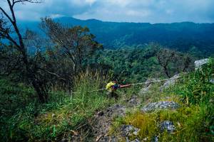 BIB: 
                            <button type="button" onclick="openModal(25098007)" class="btn btn-primary btn-sm float-right btn-popup" data-toggle="modal" data-target=".modal-high-quality">
                        <i class="fas fa-shopping-cart"></i> Add to Cart
                    </button>
                                            <button type="button" onclick="isThisMe(25098007, true)" class="btn btn-success btn-sm float-right btn-popup btn-isme hidden" data-toggle="tooltip" data-placement="bottom" title="นี่คือรูปของคุณใช่ไหม คลิกที่นี่เพื่อเอาเข้าอัลบั้ม">
                        <i class="fas fa-plus"></i> Add to album
                    </button>
                    <button type="button" onclick="isThisMe(25098007, false)" class="btn btn-warning btn-sm float-right btn-popup btn-isnotme hidden">
                        <i class="fas fa-ban"></i> Remove from album
                    </button>