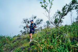 BIB: 
                            <button type="button" onclick="openModal(25095297)" class="btn btn-primary btn-sm float-right btn-popup" data-toggle="modal" data-target=".modal-high-quality">
                        <i class="fas fa-shopping-cart"></i> Add to Cart
                    </button>
                                            <button type="button" onclick="isThisMe(25095297, true)" class="btn btn-success btn-sm float-right btn-popup btn-isme hidden" data-toggle="tooltip" data-placement="bottom" title="นี่คือรูปของคุณใช่ไหม คลิกที่นี่เพื่อเอาเข้าอัลบั้ม">
                        <i class="fas fa-plus"></i> Add to album
                    </button>
                    <button type="button" onclick="isThisMe(25095297, false)" class="btn btn-warning btn-sm float-right btn-popup btn-isnotme hidden">
                        <i class="fas fa-ban"></i> Remove from album
                    </button>