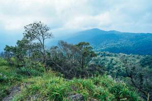 BIB: 
                            <button type="button" onclick="openModal(25098428)" class="btn btn-primary btn-sm float-right btn-popup" data-toggle="modal" data-target=".modal-high-quality">
                        <i class="fas fa-shopping-cart"></i> Add to Cart
                    </button>
                                            <button type="button" onclick="isThisMe(25098428, true)" class="btn btn-success btn-sm float-right btn-popup btn-isme hidden" data-toggle="tooltip" data-placement="bottom" title="นี่คือรูปของคุณใช่ไหม คลิกที่นี่เพื่อเอาเข้าอัลบั้ม">
                        <i class="fas fa-plus"></i> Add to album
                    </button>
                    <button type="button" onclick="isThisMe(25098428, false)" class="btn btn-warning btn-sm float-right btn-popup btn-isnotme hidden">
                        <i class="fas fa-ban"></i> Remove from album
                    </button>