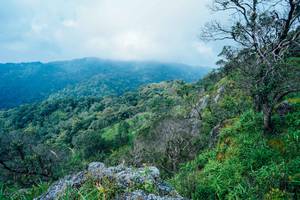 BIB: 
                            <button type="button" onclick="openModal(25098445)" class="btn btn-primary btn-sm float-right btn-popup" data-toggle="modal" data-target=".modal-high-quality">
                        <i class="fas fa-shopping-cart"></i> Add to Cart
                    </button>
                                            <button type="button" onclick="isThisMe(25098445, true)" class="btn btn-success btn-sm float-right btn-popup btn-isme hidden" data-toggle="tooltip" data-placement="bottom" title="นี่คือรูปของคุณใช่ไหม คลิกที่นี่เพื่อเอาเข้าอัลบั้ม">
                        <i class="fas fa-plus"></i> Add to album
                    </button>
                    <button type="button" onclick="isThisMe(25098445, false)" class="btn btn-warning btn-sm float-right btn-popup btn-isnotme hidden">
                        <i class="fas fa-ban"></i> Remove from album
                    </button>