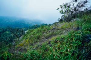 BIB: 
                            <button type="button" onclick="openModal(25096251)" class="btn btn-primary btn-sm float-right btn-popup" data-toggle="modal" data-target=".modal-high-quality">
                        <i class="fas fa-shopping-cart"></i> Add to Cart
                    </button>
                                            <button type="button" onclick="isThisMe(25096251, true)" class="btn btn-success btn-sm float-right btn-popup btn-isme hidden" data-toggle="tooltip" data-placement="bottom" title="นี่คือรูปของคุณใช่ไหม คลิกที่นี่เพื่อเอาเข้าอัลบั้ม">
                        <i class="fas fa-plus"></i> Add to album
                    </button>
                    <button type="button" onclick="isThisMe(25096251, false)" class="btn btn-warning btn-sm float-right btn-popup btn-isnotme hidden">
                        <i class="fas fa-ban"></i> Remove from album
                    </button>