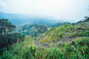 BIB: 
                            <button type="button" onclick="openModal(25096274)" class="btn btn-primary btn-sm float-right btn-popup" data-toggle="modal" data-target=".modal-high-quality">
                        <i class="fas fa-shopping-cart"></i> Add to Cart
                    </button>
                                            <button type="button" onclick="isThisMe(25096274, true)" class="btn btn-success btn-sm float-right btn-popup btn-isme hidden" data-toggle="tooltip" data-placement="bottom" title="นี่คือรูปของคุณใช่ไหม คลิกที่นี่เพื่อเอาเข้าอัลบั้ม">
                        <i class="fas fa-plus"></i> Add to album
                    </button>
                    <button type="button" onclick="isThisMe(25096274, false)" class="btn btn-warning btn-sm float-right btn-popup btn-isnotme hidden">
                        <i class="fas fa-ban"></i> Remove from album
                    </button>