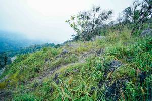 BIB: 
                            <button type="button" onclick="openModal(25096281)" class="btn btn-primary btn-sm float-right btn-popup" data-toggle="modal" data-target=".modal-high-quality">
                        <i class="fas fa-shopping-cart"></i> Add to Cart
                    </button>
                                            <button type="button" onclick="isThisMe(25096281, true)" class="btn btn-success btn-sm float-right btn-popup btn-isme hidden" data-toggle="tooltip" data-placement="bottom" title="นี่คือรูปของคุณใช่ไหม คลิกที่นี่เพื่อเอาเข้าอัลบั้ม">
                        <i class="fas fa-plus"></i> Add to album
                    </button>
                    <button type="button" onclick="isThisMe(25096281, false)" class="btn btn-warning btn-sm float-right btn-popup btn-isnotme hidden">
                        <i class="fas fa-ban"></i> Remove from album
                    </button>